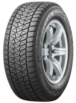 Bridgestone DM-V2 