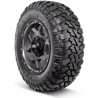 NEXEN Roadian MTX RM7